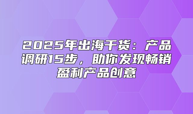 2025年出海干货：产品调研15步，助你发现畅销盈利产品创意