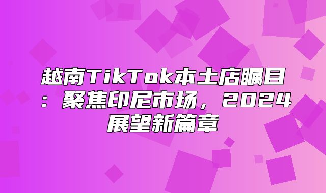 越南TikTok本土店瞩目：聚焦印尼市场，2025展望新篇章