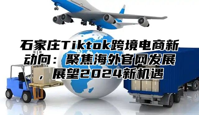 石家庄Tiktok跨境电商新动向：聚焦海外官网发展，展望2025新机遇
