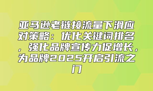 亚马逊老链接流量下滑应对策略：优化关键词排名，强化品牌宣传力促增长，为品牌2025开启引流之门