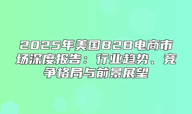 2025年美国B2B电商市场深度报告：行业趋势、竞争格局与前景展望