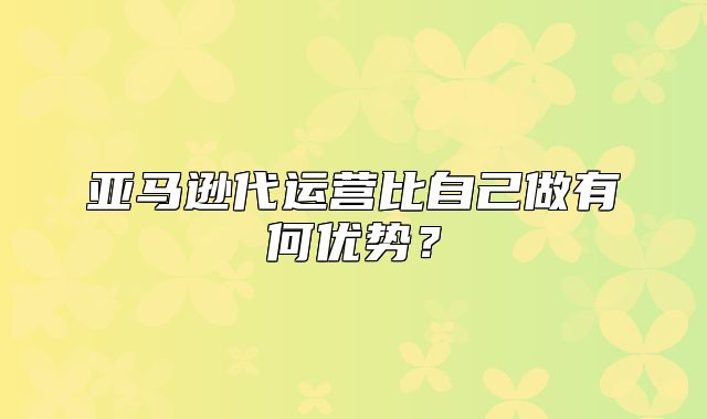 亚马逊代运营比自己做有何优势？