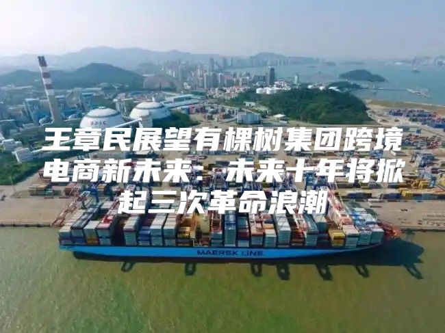 王章民展望有棵树集团跨境电商新未来：未来十年将掀起三次革命浪潮