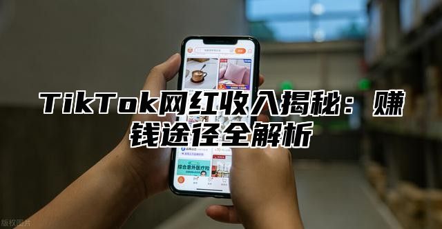 TikTok网红收入揭秘：赚钱途径全解析