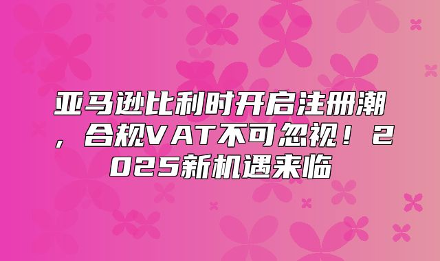 亚马逊比利时开启注册潮，合规VAT不可忽视！2025新机遇来临