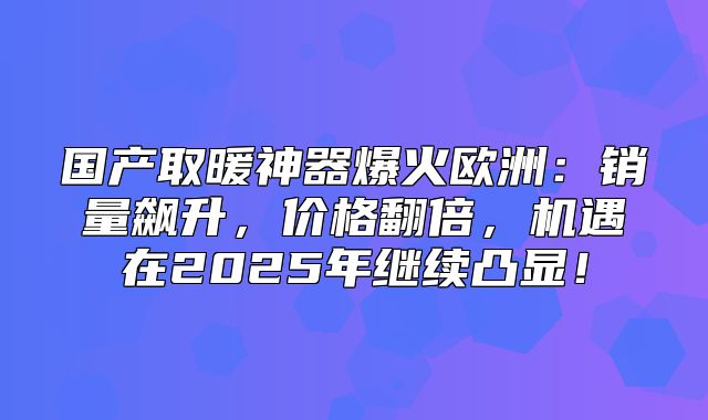 国产取暖神器爆火欧洲：销量飙升，价格翻倍，机遇在2025年继续凸显！