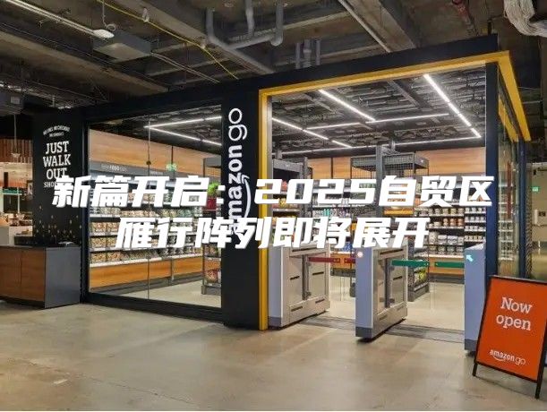 新篇开启：2025自贸区雁行阵列即将展开