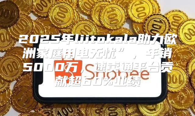 2025年liitokala助力欧洲家庭用电无忧”，年销5000万，速卖通平台贡献超60%业绩