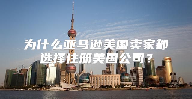 为什么亚马逊美国卖家都选择注册美国公司？