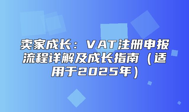 卖家成长：VAT注册申报流程详解及成长指南适用于2025年