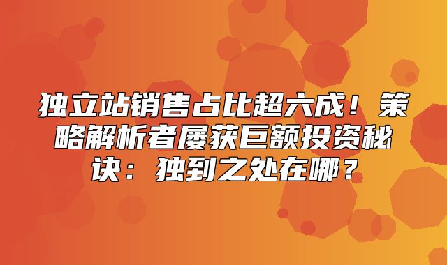 独立站销售占比超六成！策略解析者屡获巨额投资秘诀：独到之处在哪？