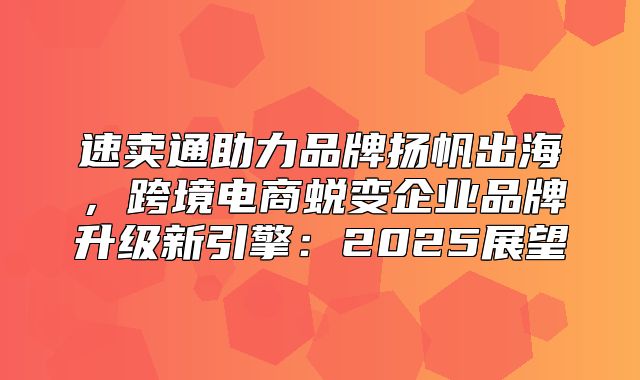速卖通助力品牌扬帆出海，跨境电商蜕变企业品牌升级新引擎：2025展望