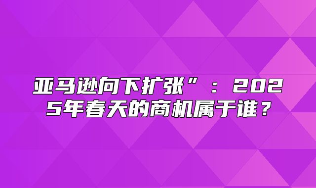亚马逊向下扩张”：2025年春天的商机属于谁？