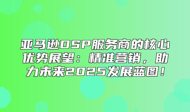 亚马逊DSP服务商的核心优势展望：精准营销，助力未来2025发展蓝图！