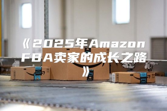 2025年AmazonFBA卖家的成长之路