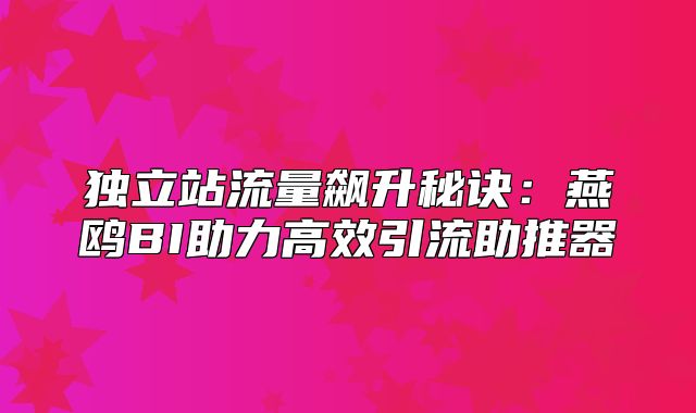 独立站流量飙升秘诀：燕鸥BI助力高效引流助推器