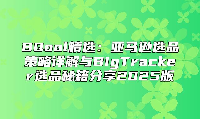 BQool精选：亚马逊选品策略详解与BigTracker选品秘籍分享2025版