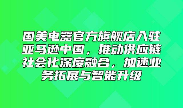 国美电器官方旗舰店入驻亚马逊中国，推动供应链社会化深度融合，加速业务拓展与智能升级