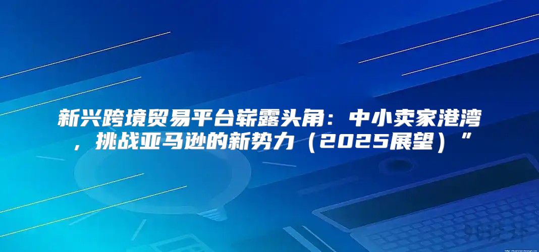 新兴跨境贸易平台崭露头角：中小卖家港湾，挑战亚马逊的新势力2025展望”