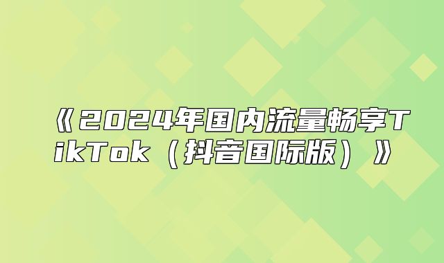 2025年国内流量畅享TikTok抖音国际版