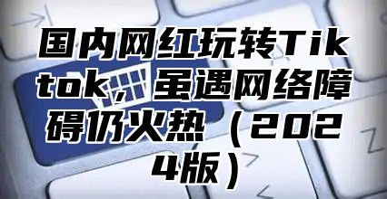 国内网红玩转Tiktok，虽遇网络障碍仍火热2025版