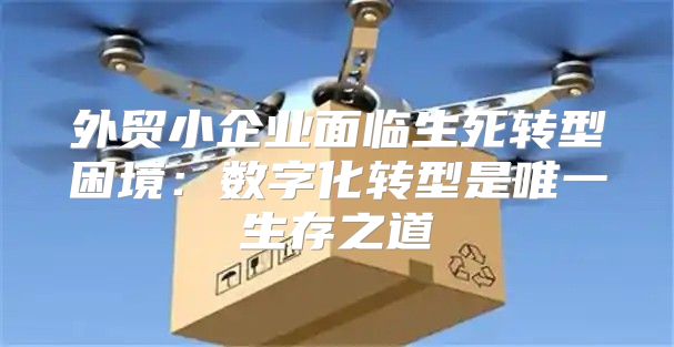 外贸小企业面临生死转型困境：数字化转型是唯一生存之道