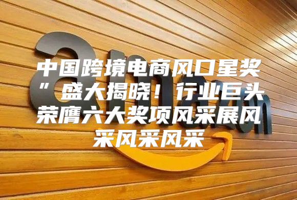 中国跨境电商风口星奖”盛大揭晓！行业巨头荣膺六大奖项风采展风采风采风采