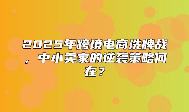 2025年跨境电商洗牌战，中小卖家的逆袭策略何在？