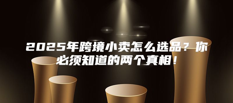 2025年跨境小卖怎么选品？你必须知道的两个真相！