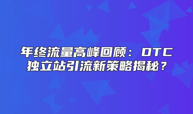 年终流量高峰回顾：DTC独立站引流新策略揭秘？