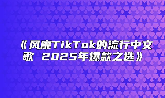 风靡TikTok的流行中文歌2025年爆款之选