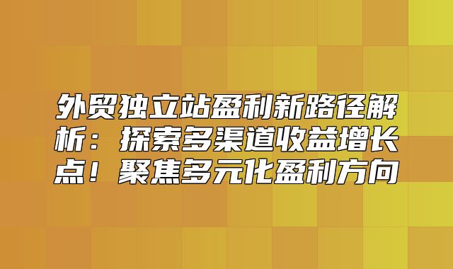 外贸独立站盈利新路径解析：探索多渠道收益增长点！聚焦多元化盈利方向