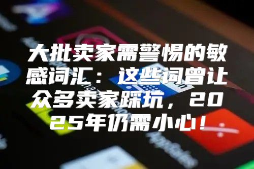 大批卖家需警惕的敏感词汇：这些词曾让众多卖家踩坑，2025年仍需小心！