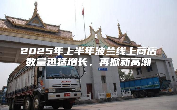 2025年上半年波兰线上商店数量迅猛增长，再掀新高潮