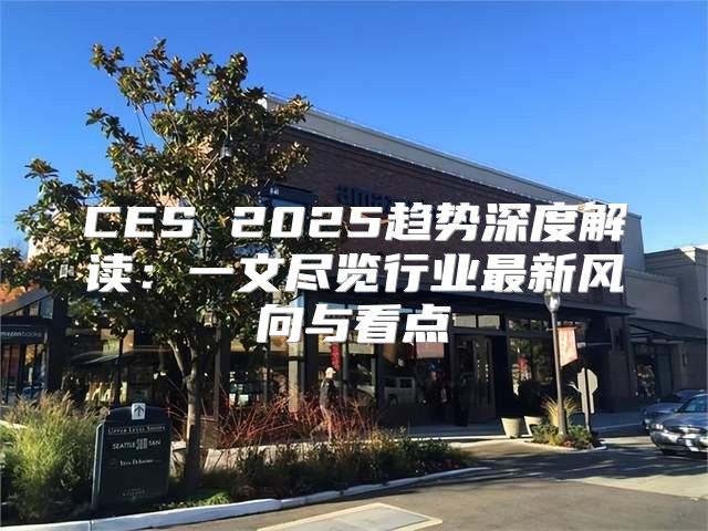 CES 2025趋势深度解读：一文尽览行业最新风向与看点