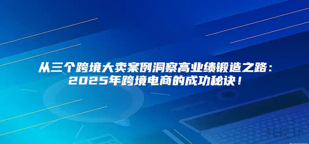 从三个跨境大卖案例洞察高业绩锻造之路：2025年跨境电商的成功秘诀！