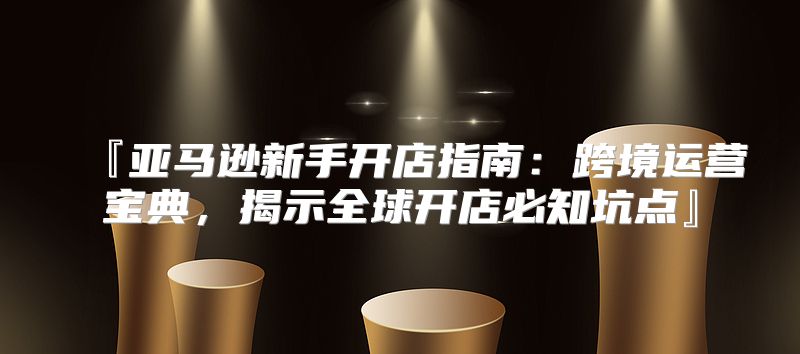『亚马逊新手开店指南：跨境运营宝典，揭示全球开店必知坑点』