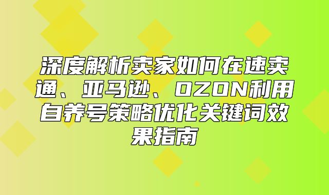 深度解析卖家如何在速卖通、亚马逊、OZON利用自养号策略优化关键词效果指南