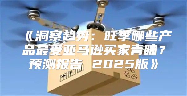 洞察趋势：旺季哪些产品最受亚马逊买家青睐？预测报告2025版