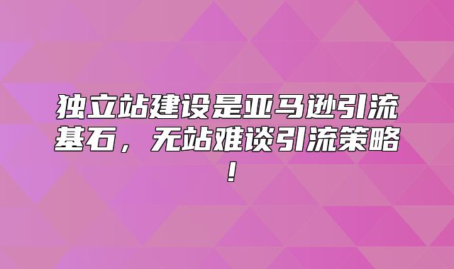 独立站建设是亚马逊引流基石，无站难谈引流策略！