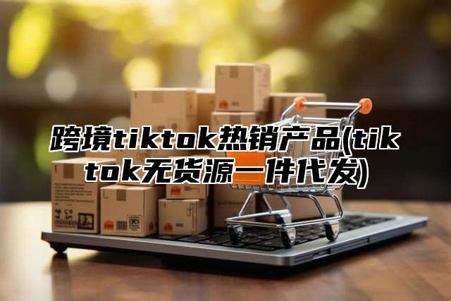 跨境tiktok热销产品(tiktok无货源一件代发)