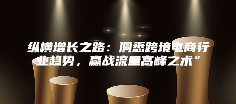 纵横增长之路：洞悉跨境电商行业趋势，赢战流量高峰之术”