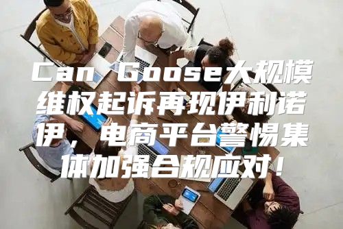 Can Goose大规模维权起诉再现伊利诺伊，电商平台警惕集体加强合规应对！