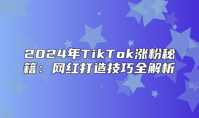 2025年TikTok涨粉秘籍：网红打造技巧全解析