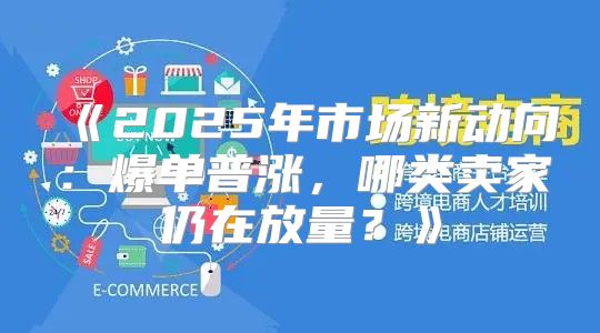 2025年市场新动向：爆单普涨，哪类卖家仍在放量？