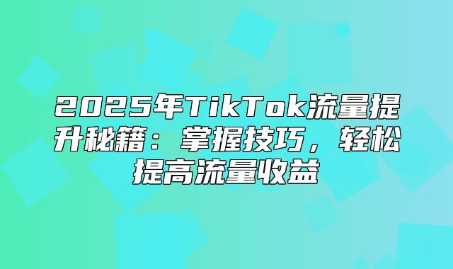 2025年TikTok流量提升秘籍：掌握技巧，轻松提高流量收益