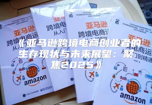 亚马逊跨境电商创业者的生存现状与未来展望：聚焦2025