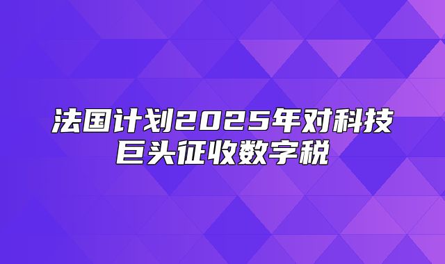 法国计划2025年对科技巨头征收数字税