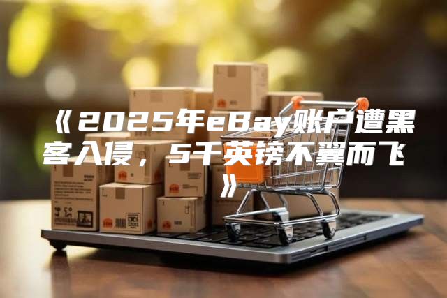 2025年eBay账户遭黑客入侵，5千英镑不翼而飞