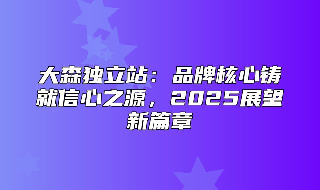 大森独立站：品牌核心铸就信心之源，2025展望新篇章